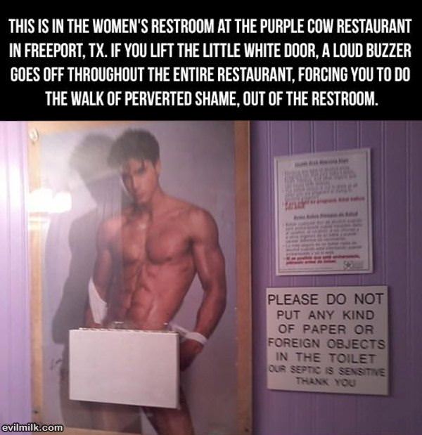 Walk Of Shame