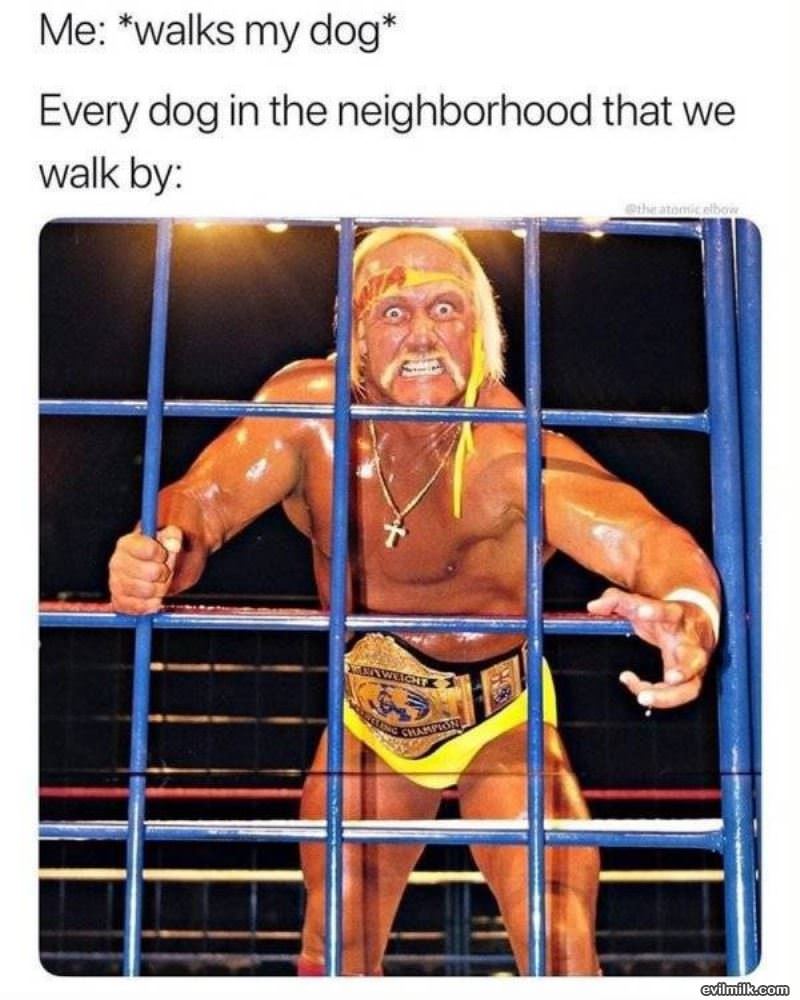 Walks My Dog