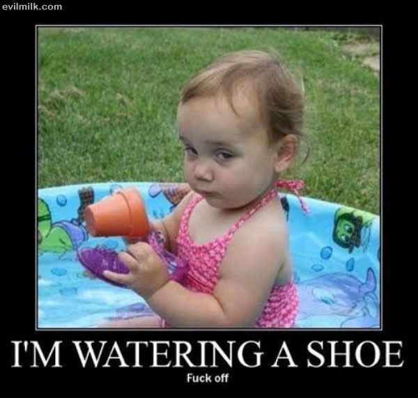 Watering A Shoe