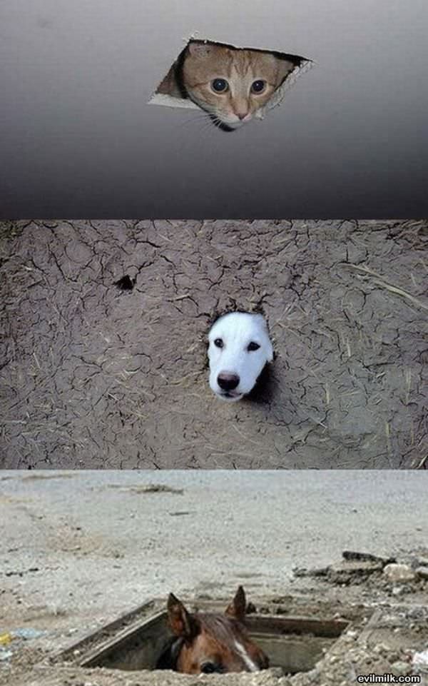 We Are Watching You