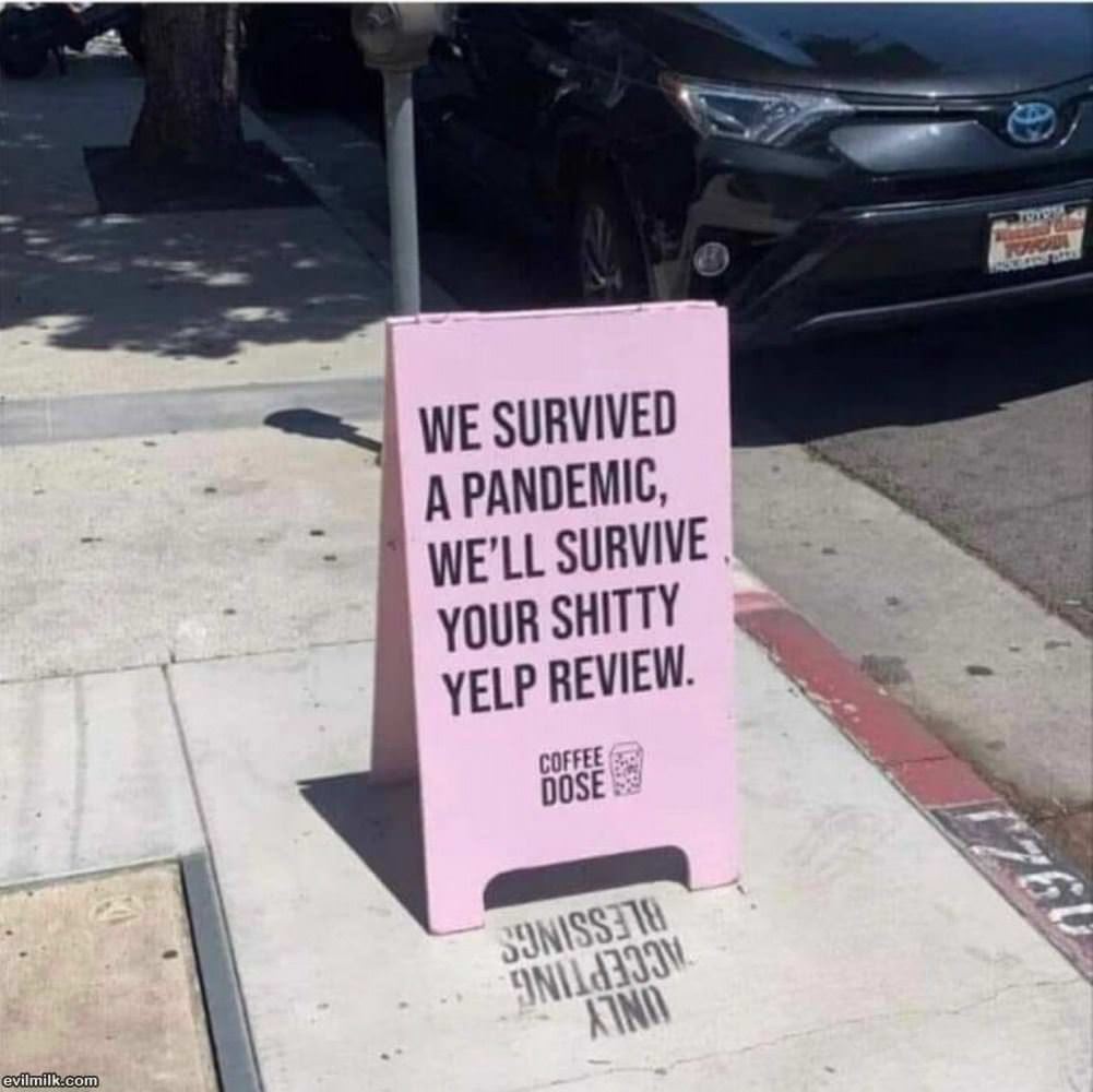 We Will Survive