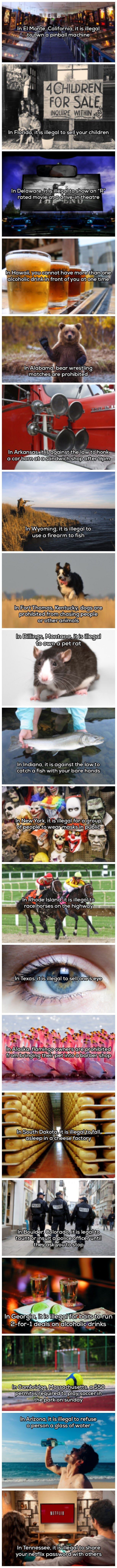 Weird Laws