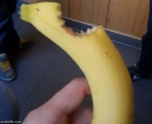 Weird Picdump 58