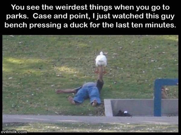 Weirdest Things
