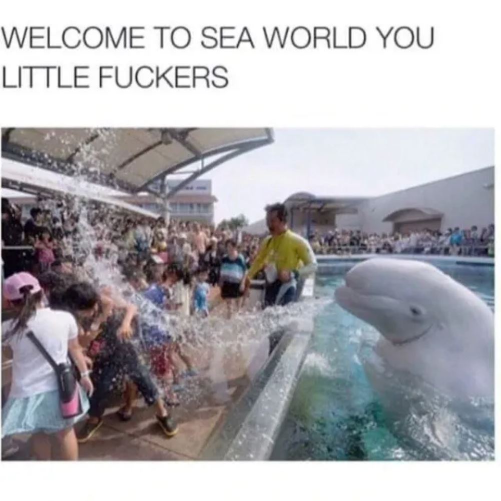 Welcome To Sea World