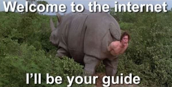 Welcome To The Internet