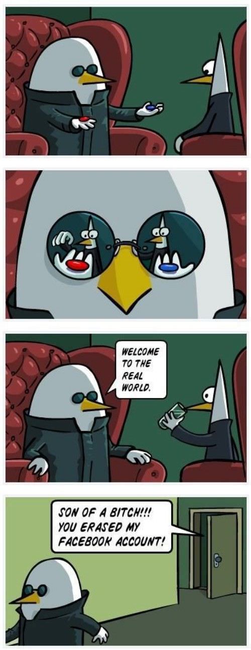 Welcome To The Real World