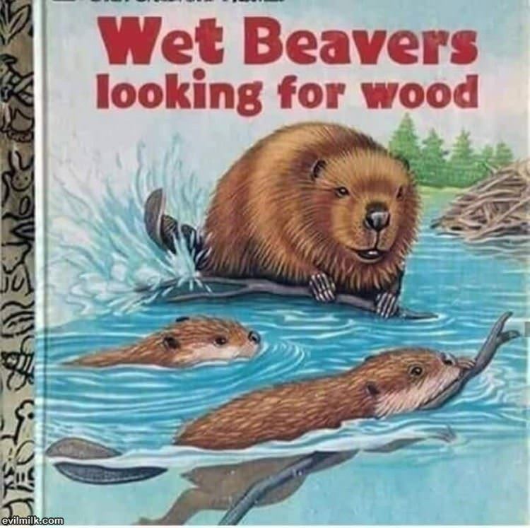 Wet Beavers