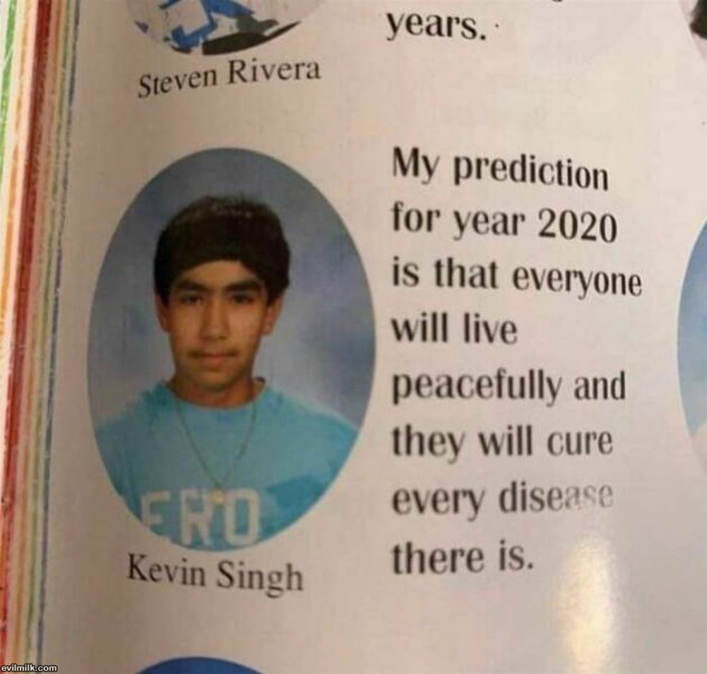 What A Dumb Ass