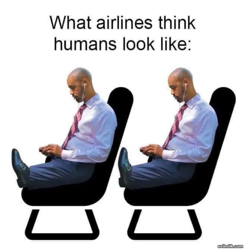 What Airlines Think We Look Like