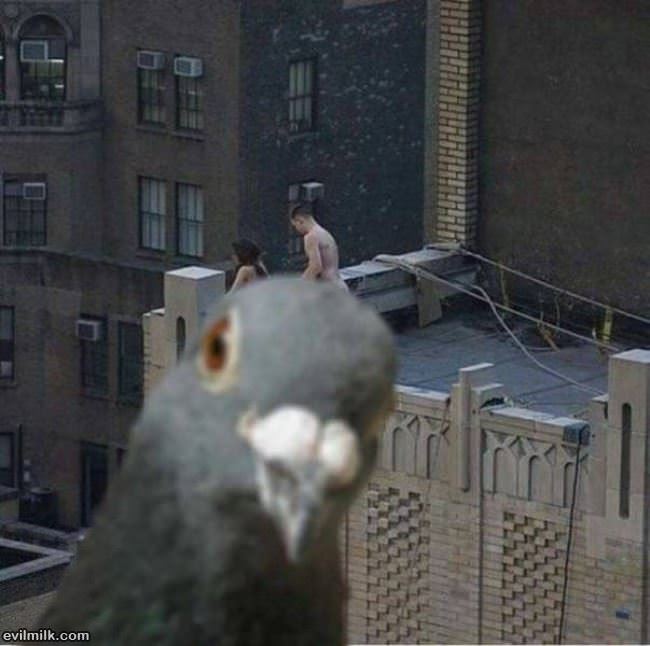 What Are You Looking At