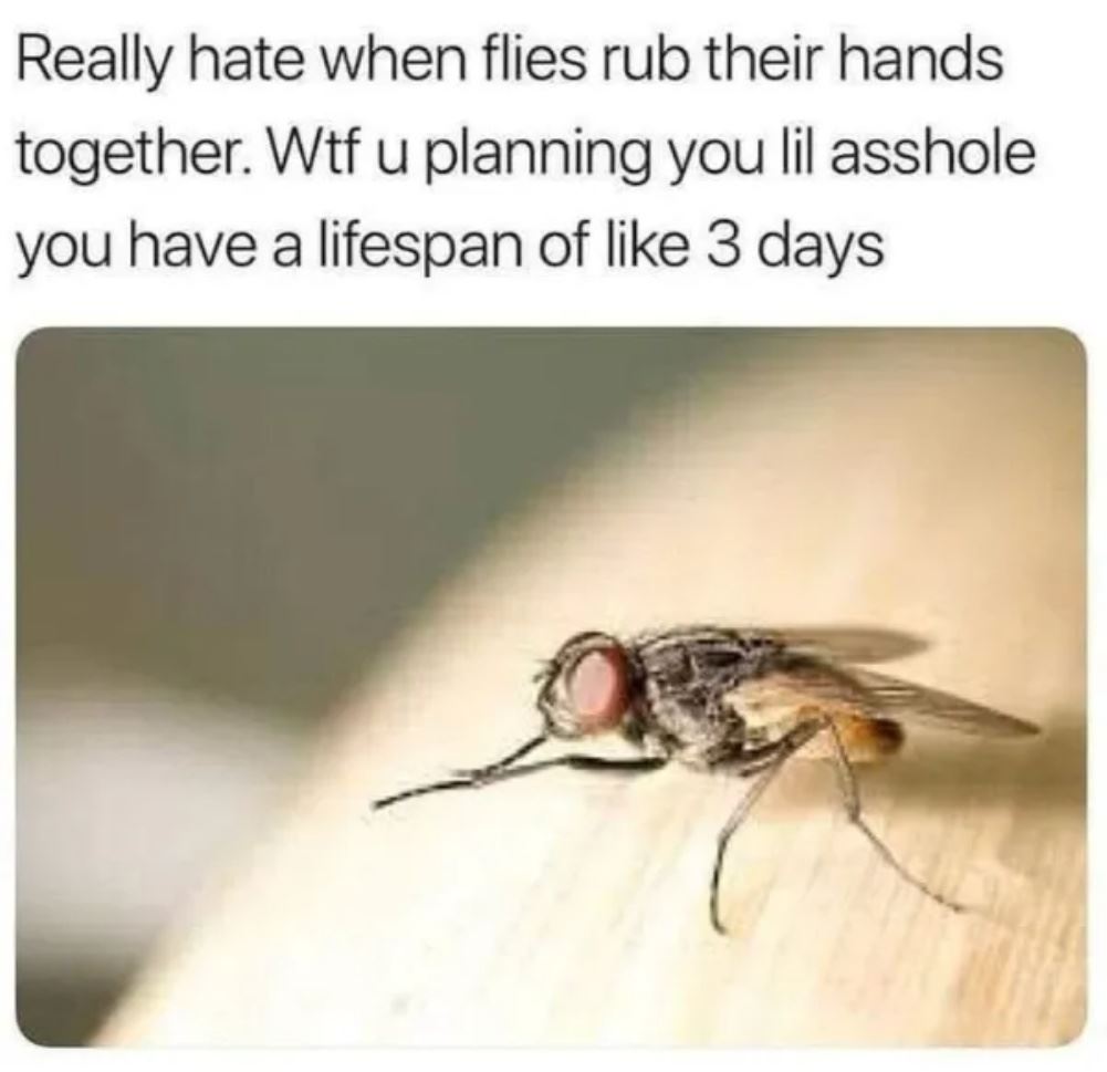 What Are You Planning