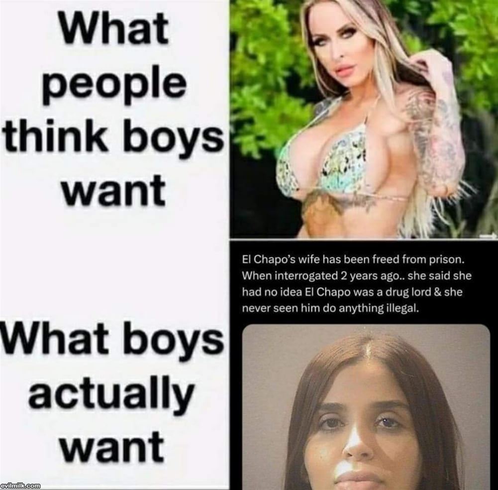 What Boys Want