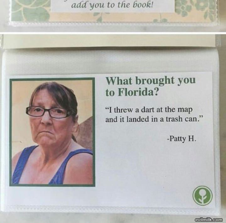 What Brought You To Florida