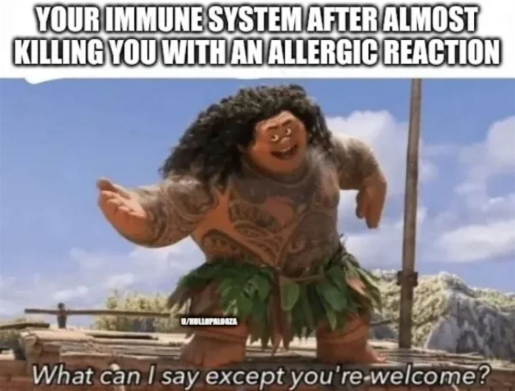 What Can I Say