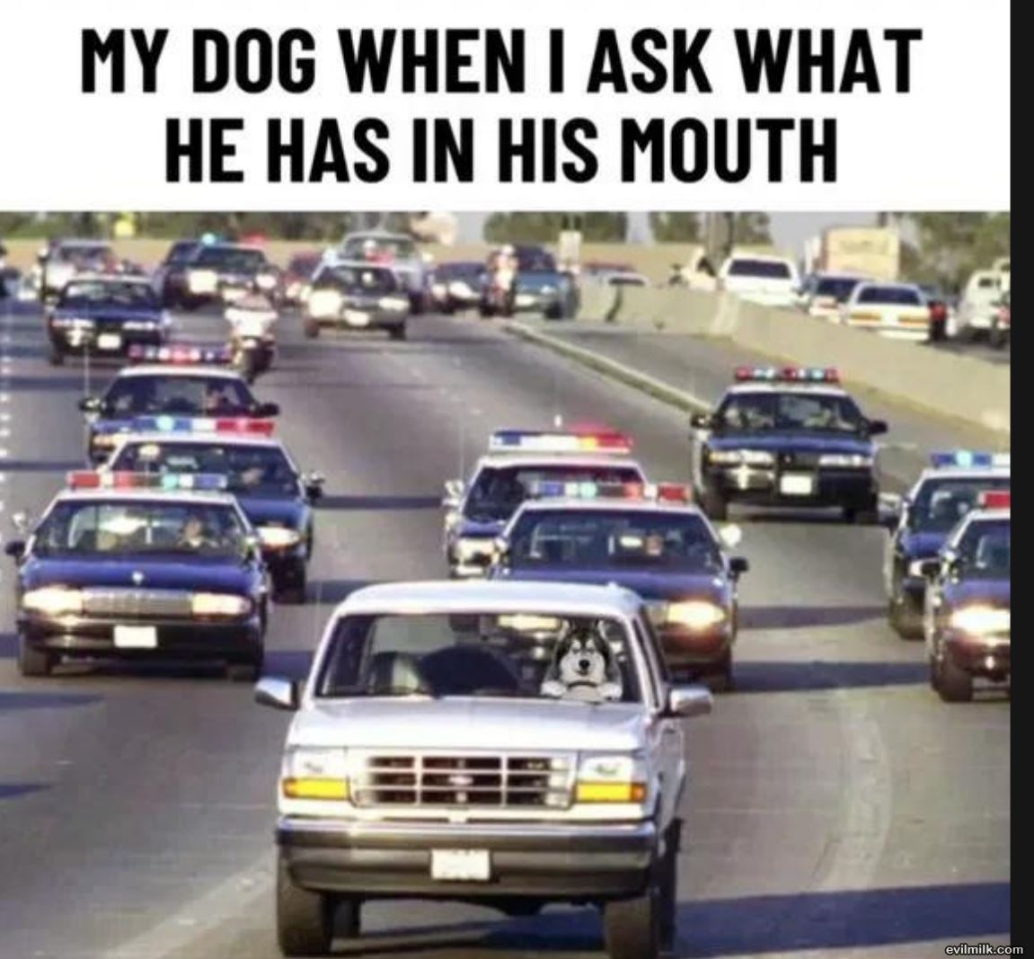 What Do You Have