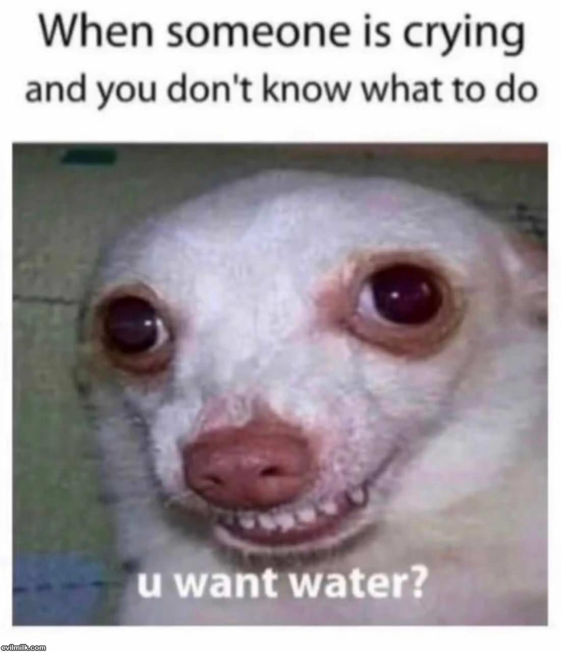 What Do You Want