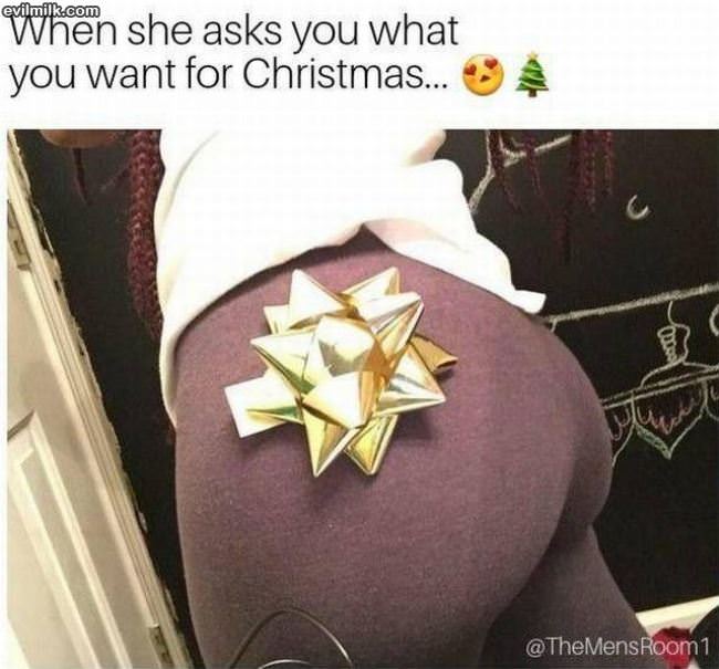 What Do You Want For Christmas