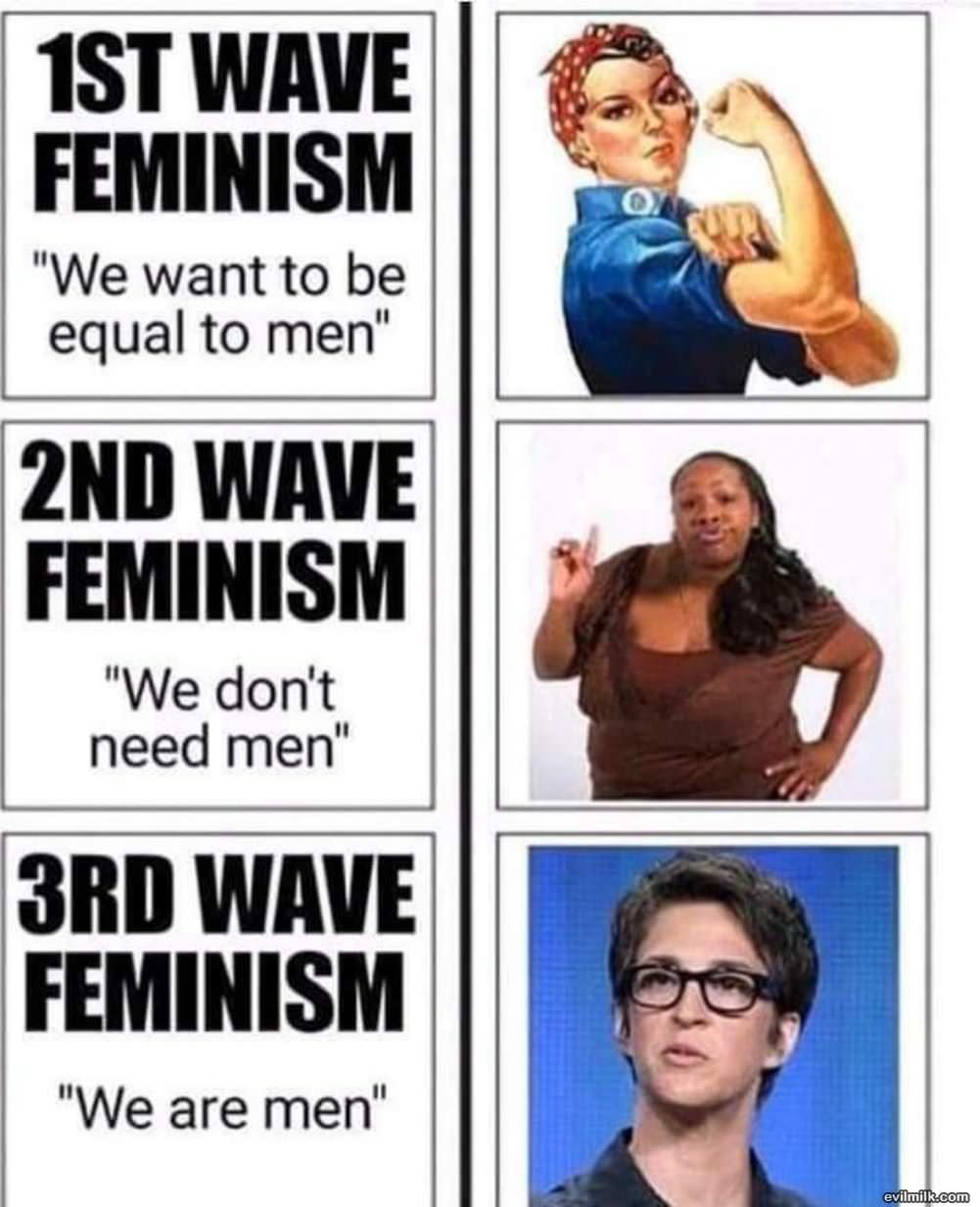 What Feminism Has Turned Into