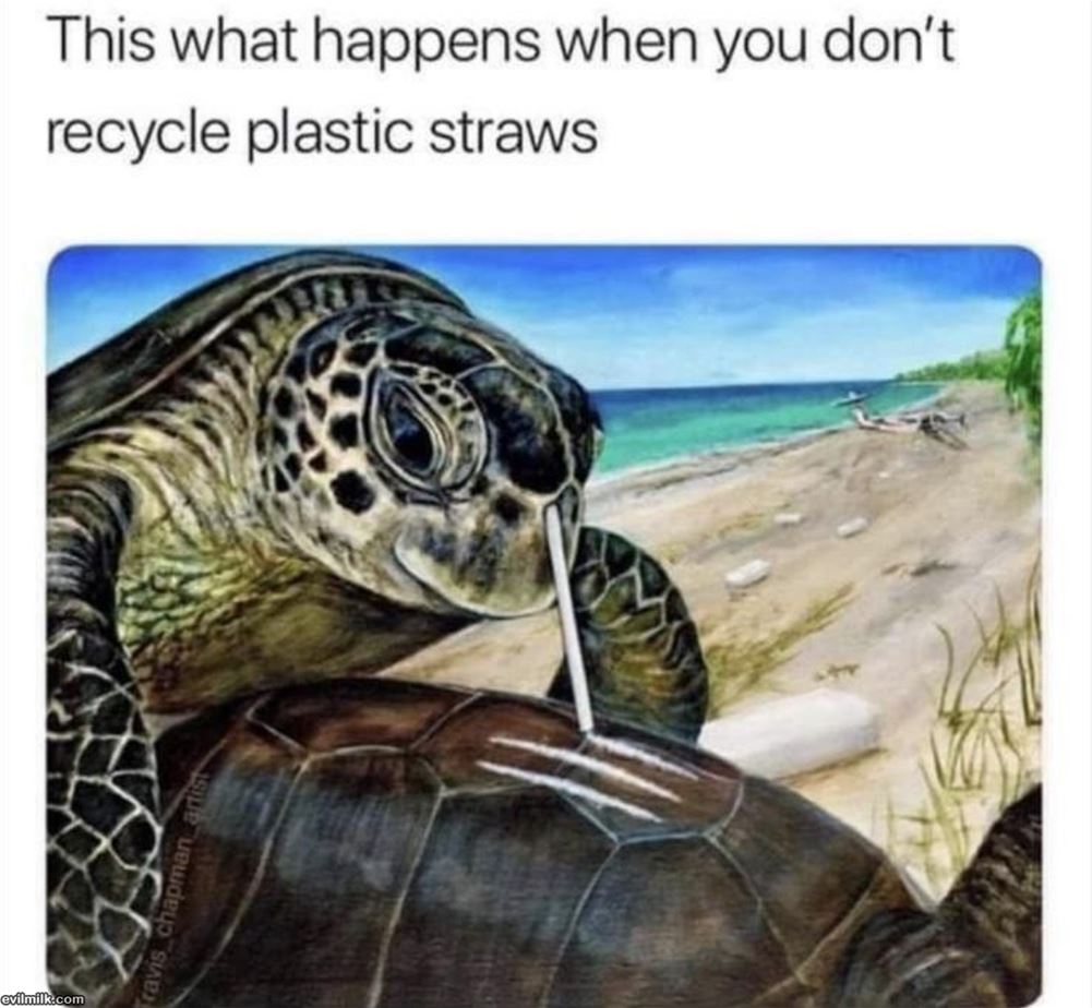What Happens