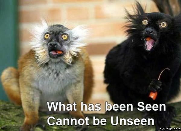 What Has Been Seen