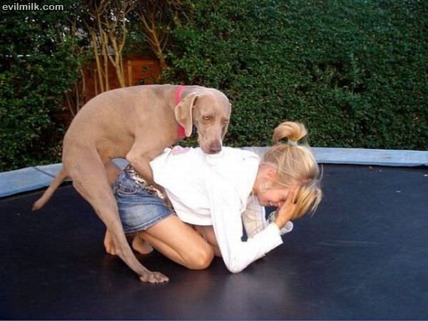 What Is Going On Here