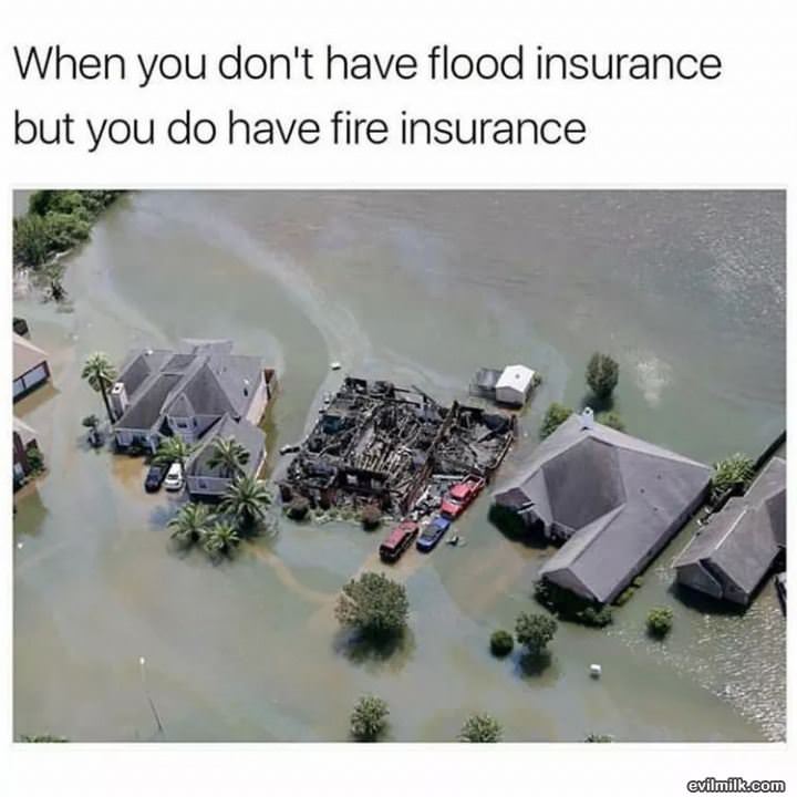 What Kind Of Insurance Do You Have