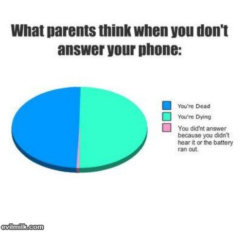 What Parents Think
