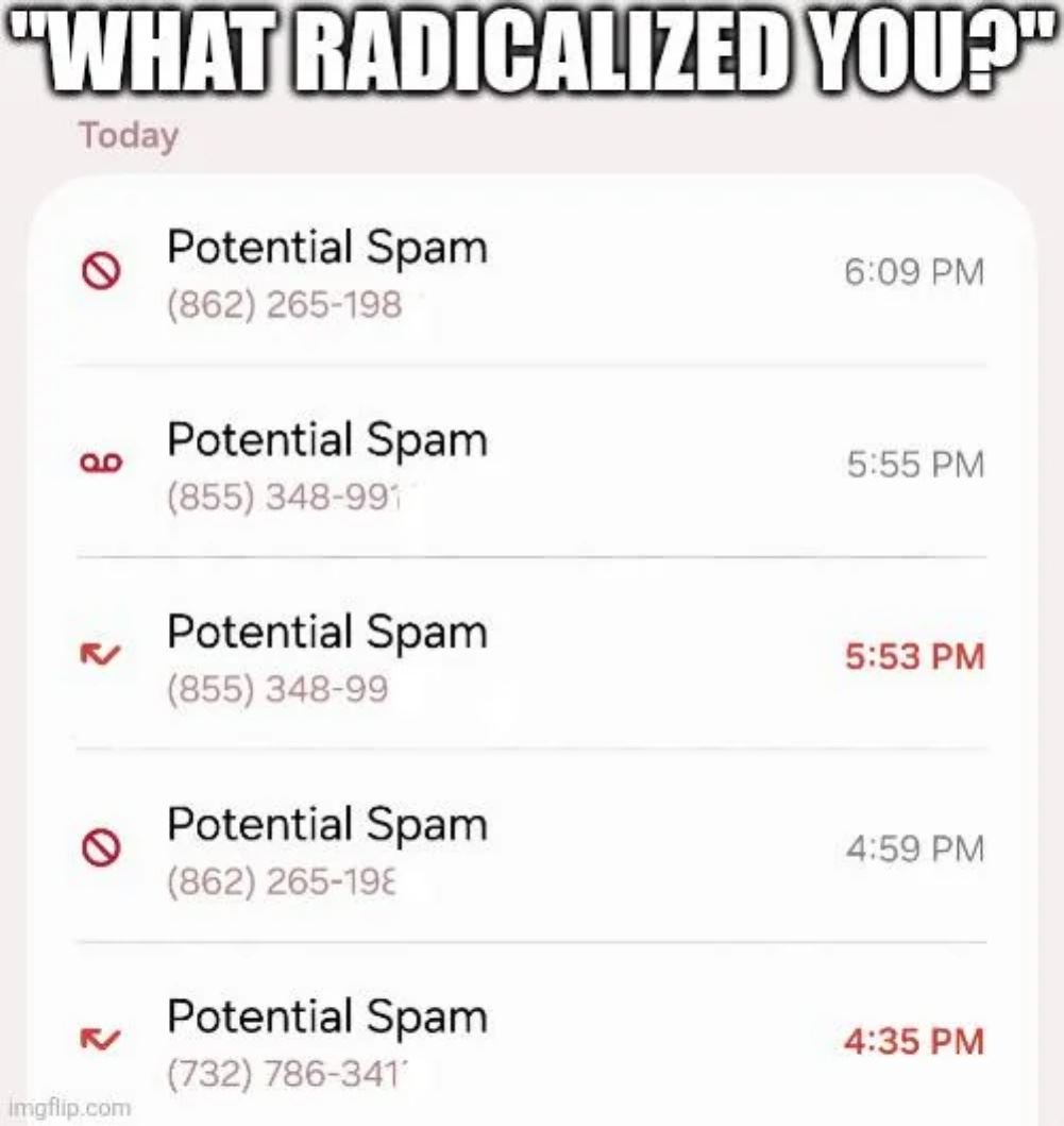 What Radicalized You