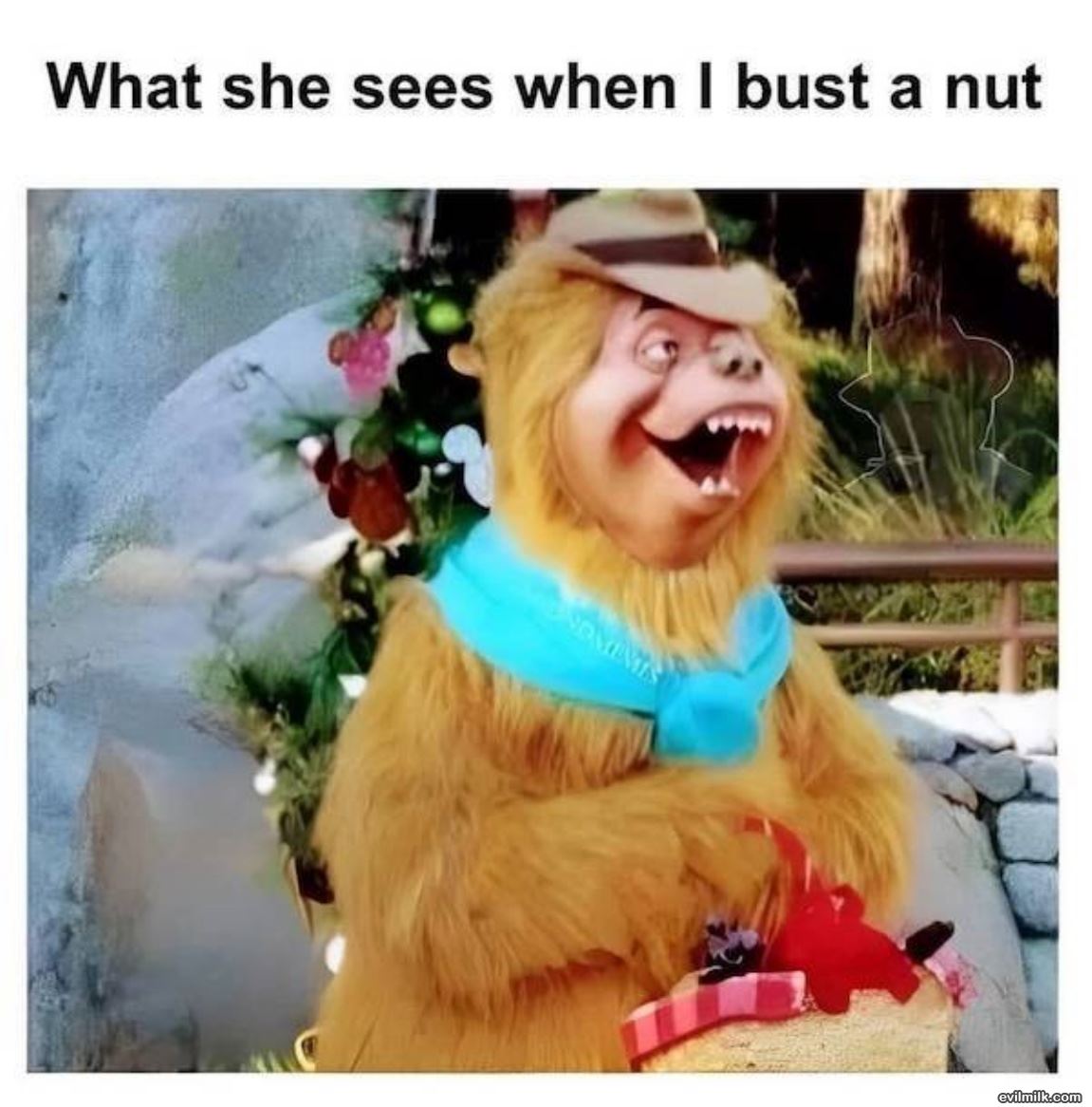What She Sees