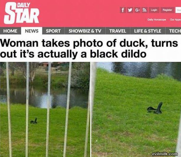 What The Duck