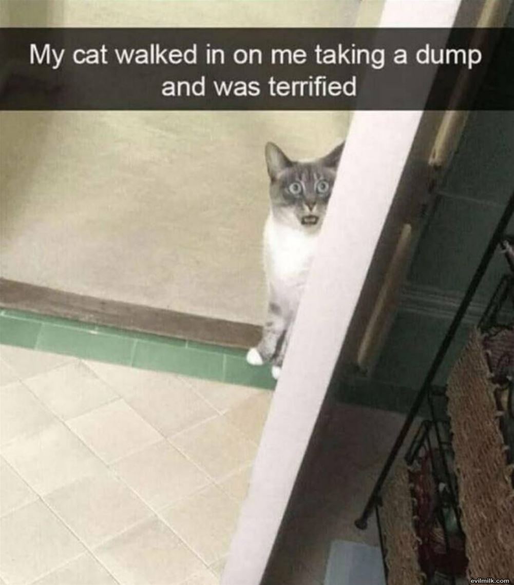 What The Hell