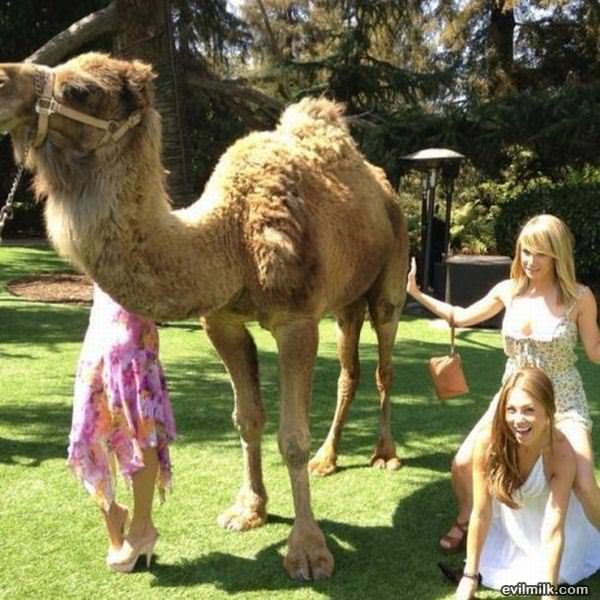 What The Hell Is Going On Here