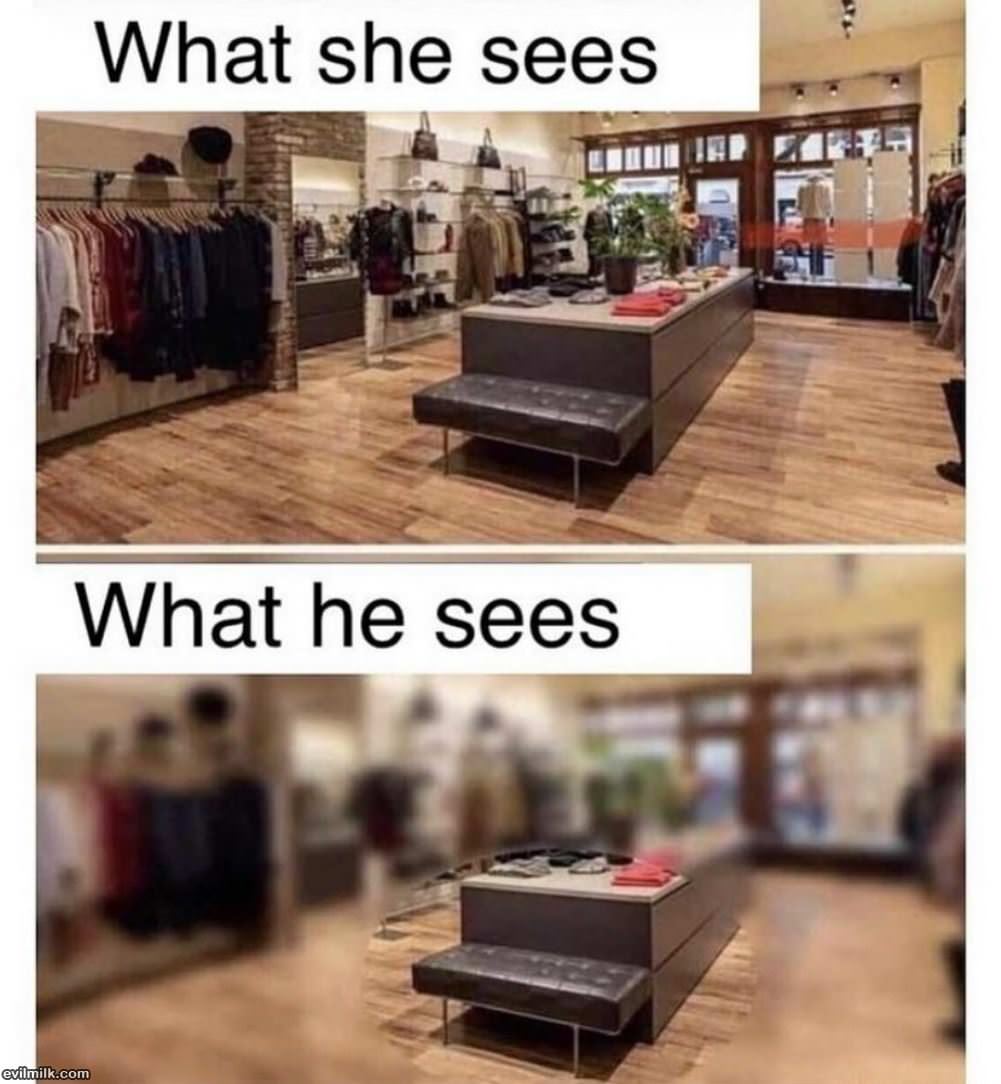 What They See