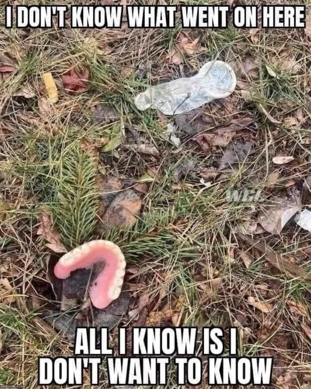 What Went On Here