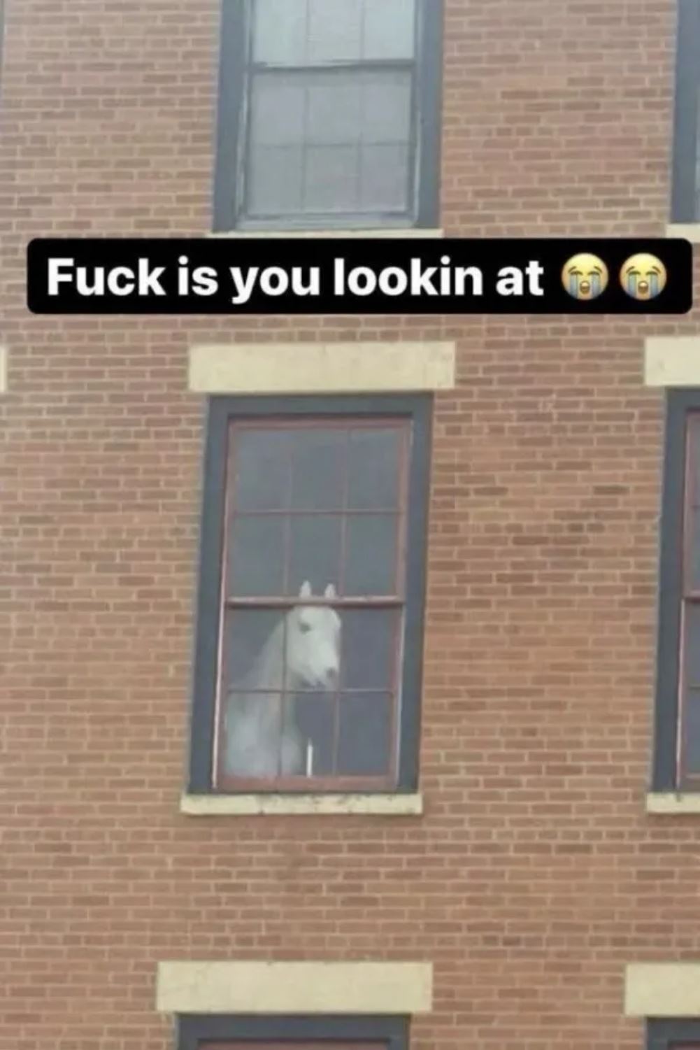 What You Lookin At