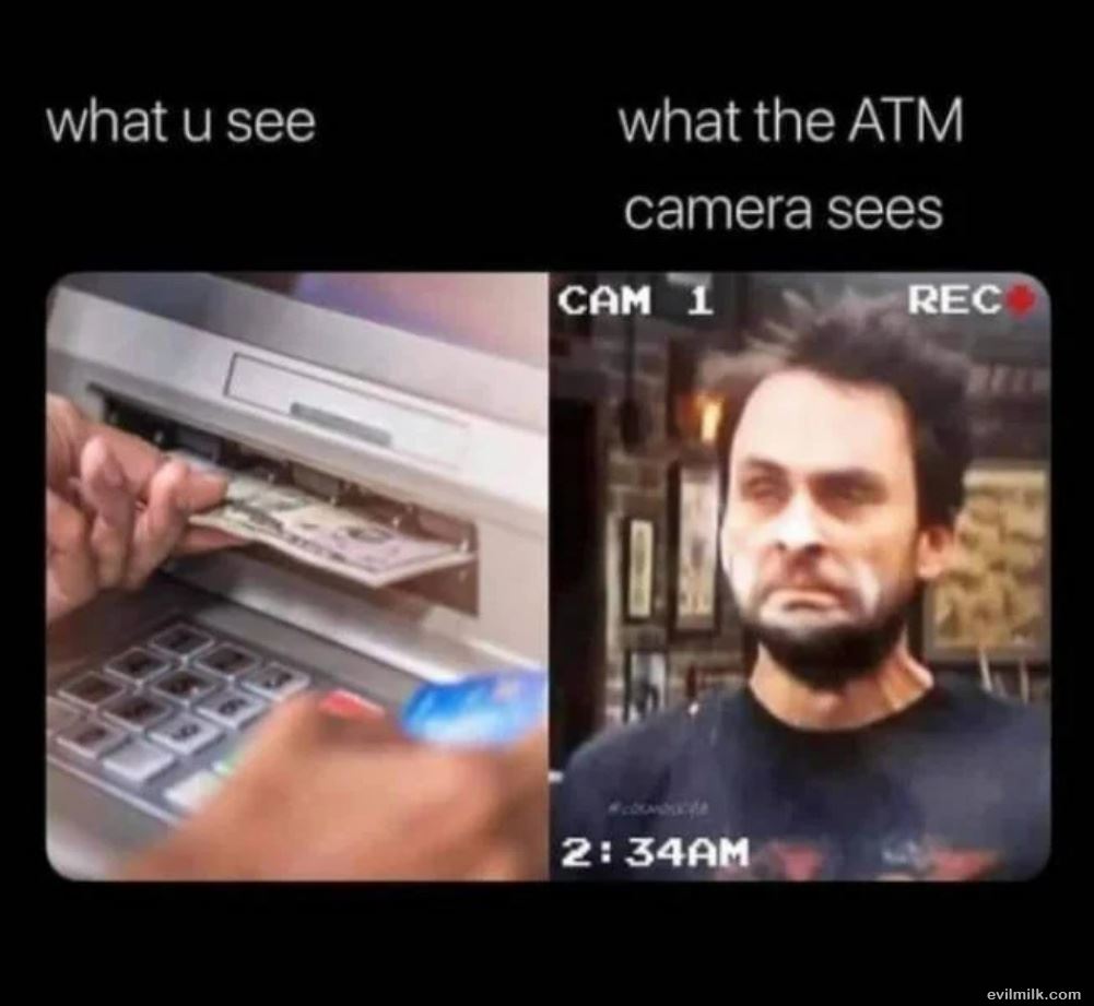 What You See