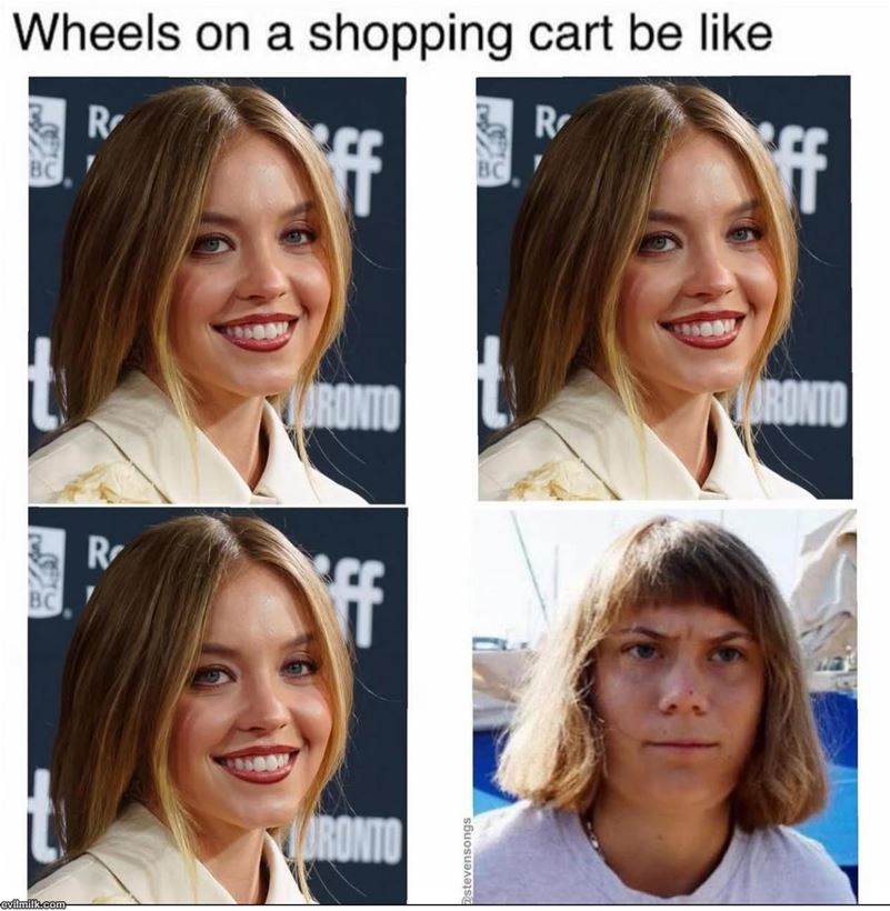 Wheels On A Shopping Cart