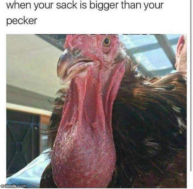 When The Sack Is Bigger