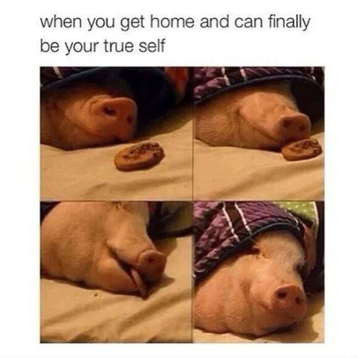 When You Get Home