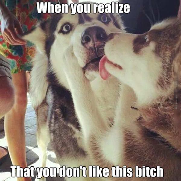 When You Realize
