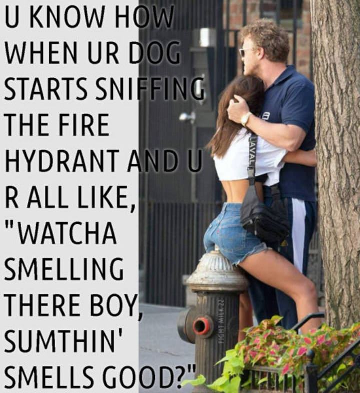 When Your Dog Starts Sniffing
