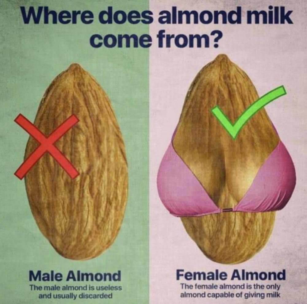 Where Does Almond Milk Come From