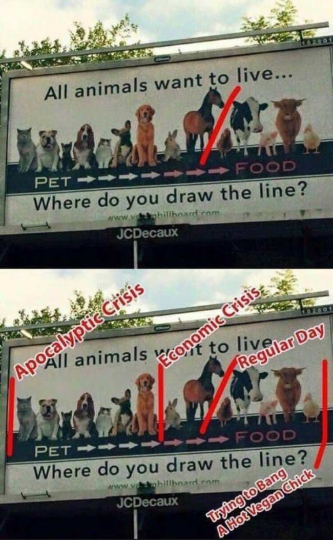 Where I Draw The Lines