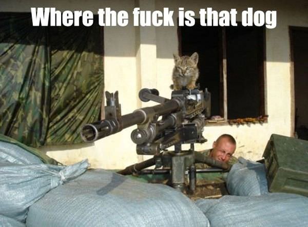 Where Is He