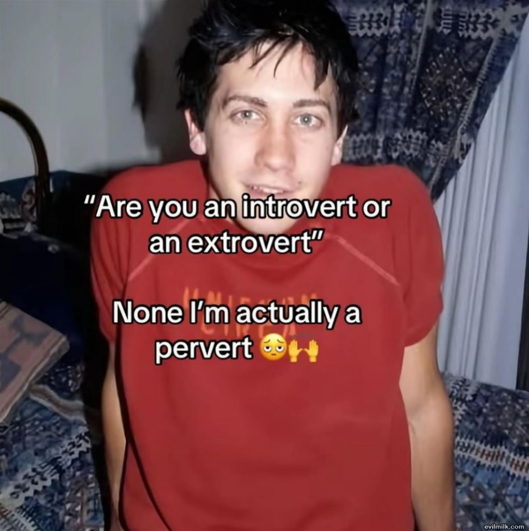 Which Are You