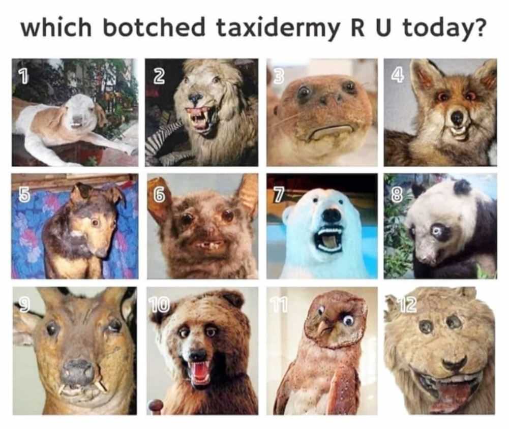 Which Are You Today