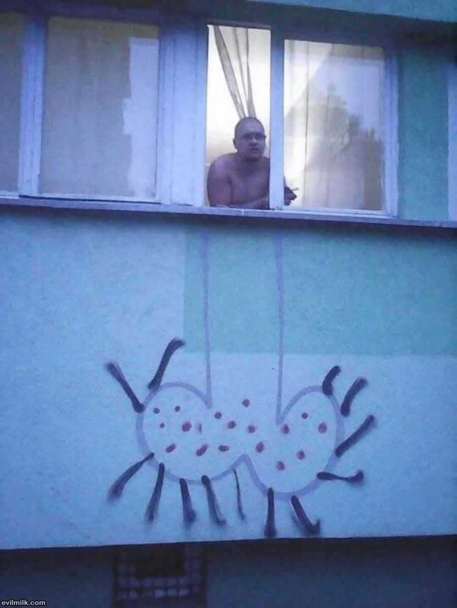 Who Did This