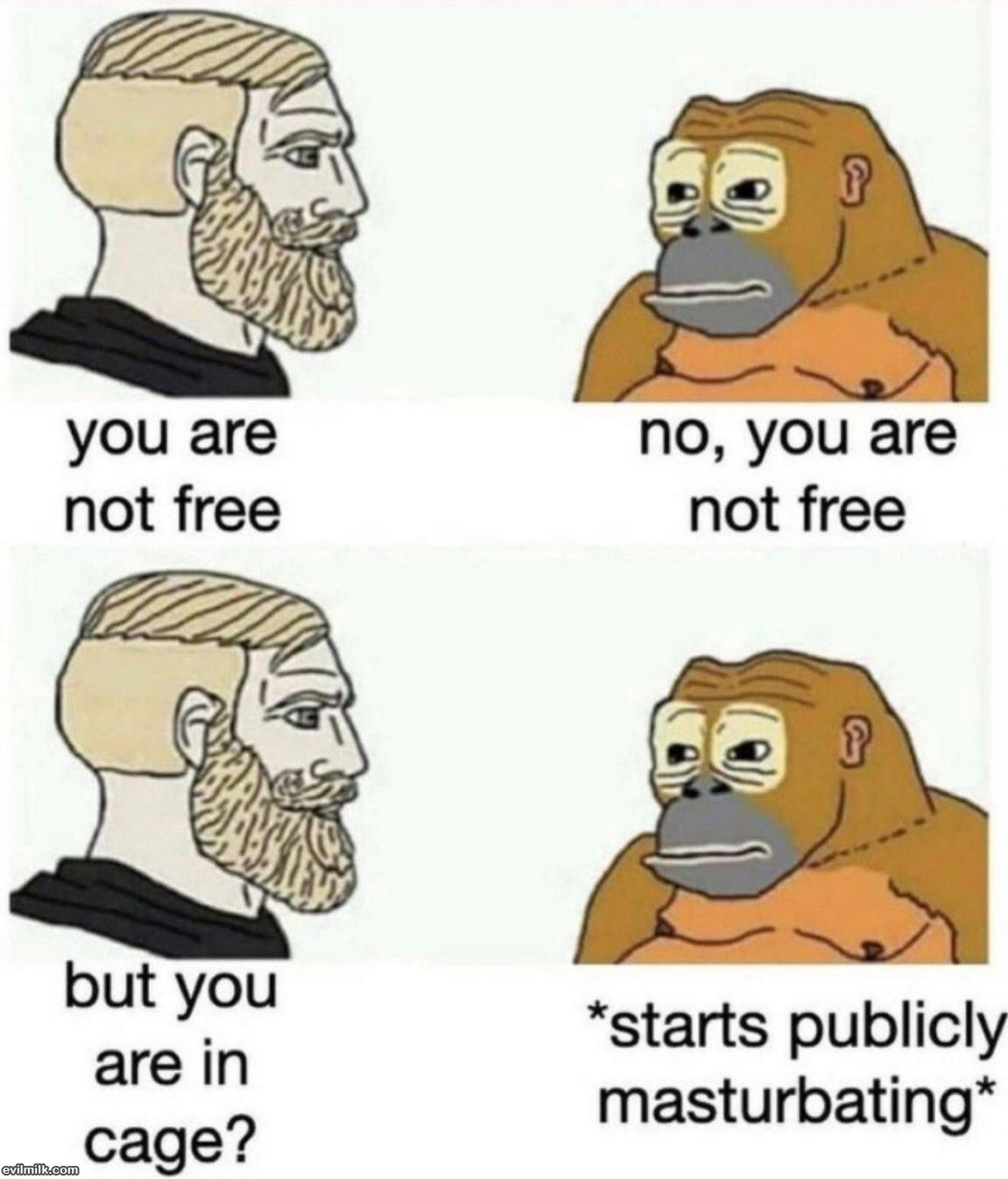 Who Is Free