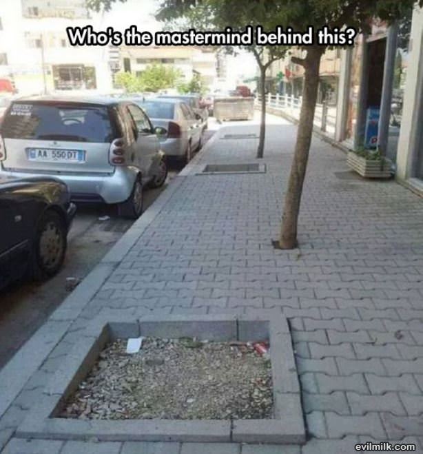 Who Is The Mastermind
